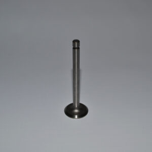 Valvula de Admissão EH12