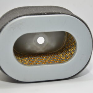 Elemento filtro de ar Buffalo 10HP